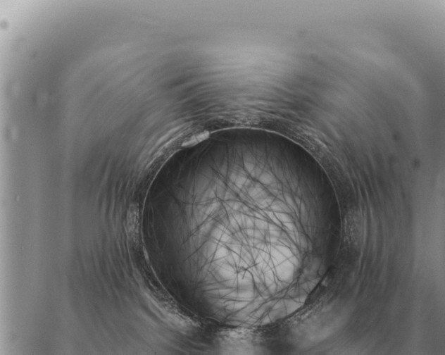 X0000088060092200705182151