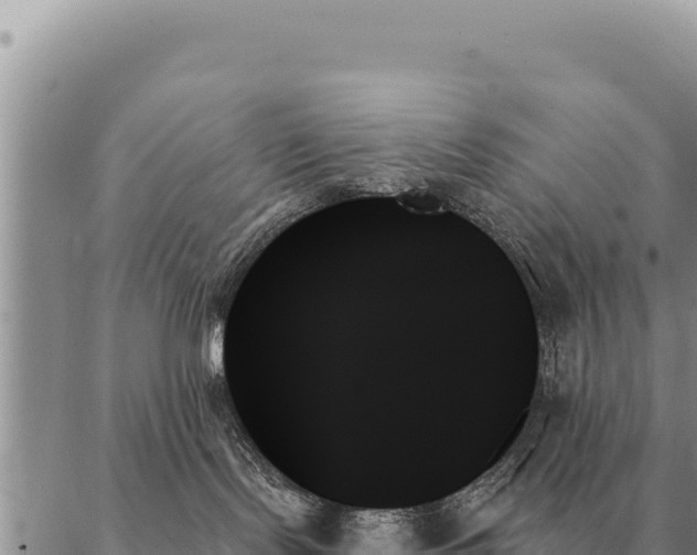X0000088060095200705182151