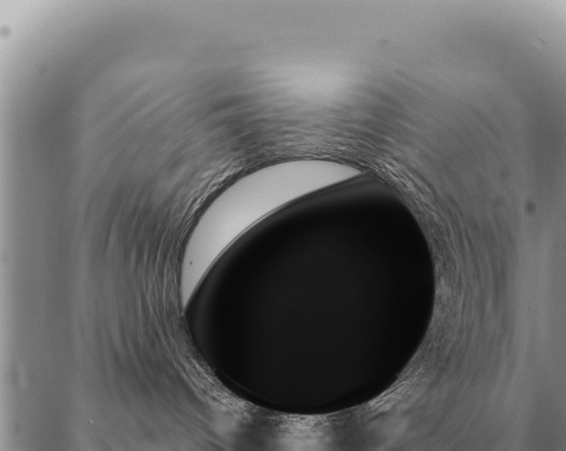 X0000088060096200705182151