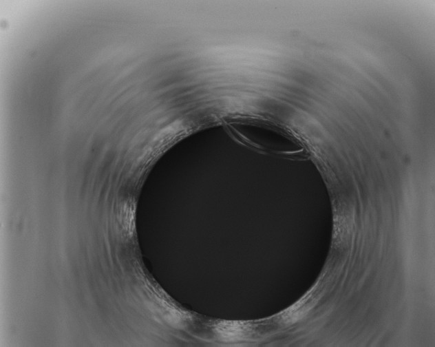 X0000088060142200705182150