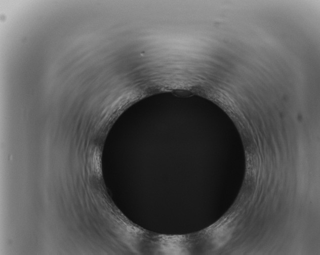 X0000088060143200705182150