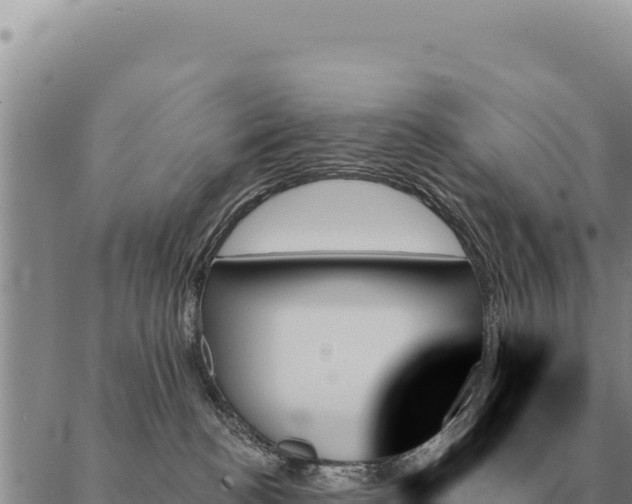 X0000088060188200705182150
