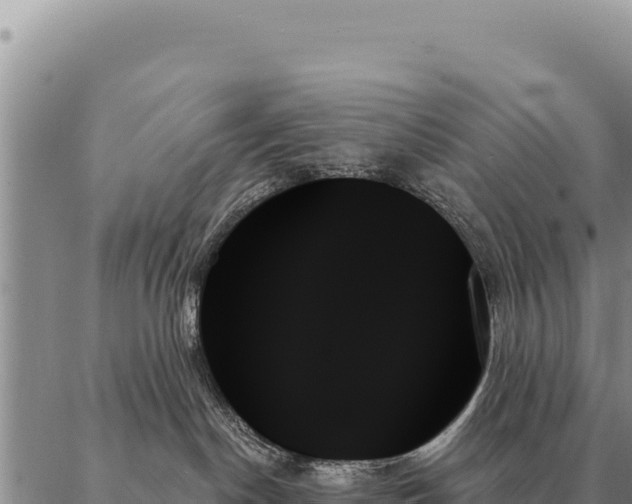 X0000088060190200705182150