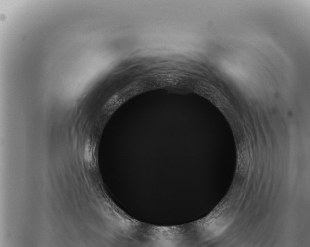 X0000088060239200705182148