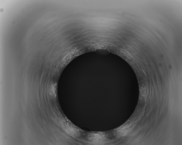 X0000088060286200705182148