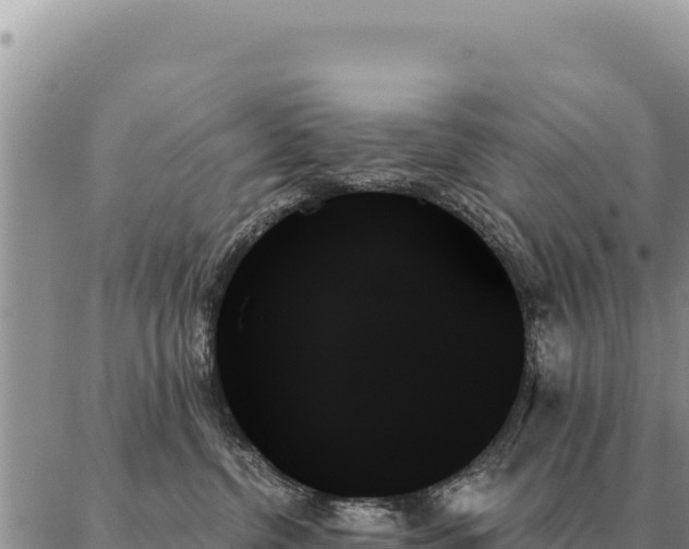 X0000088060380200705182147