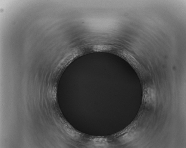 X0000088060426200705182145