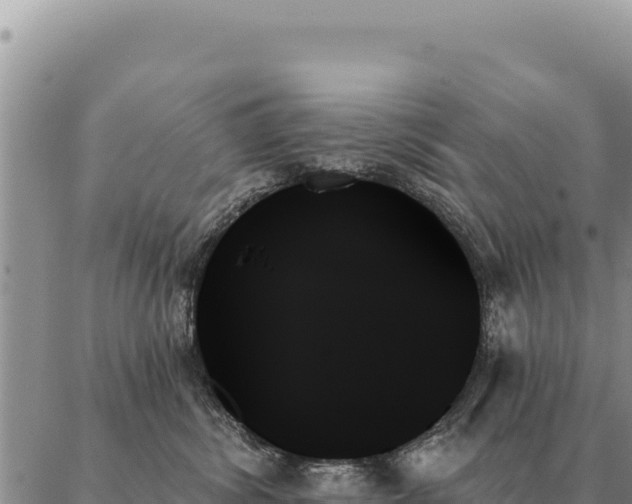 X0000088060428200705182145