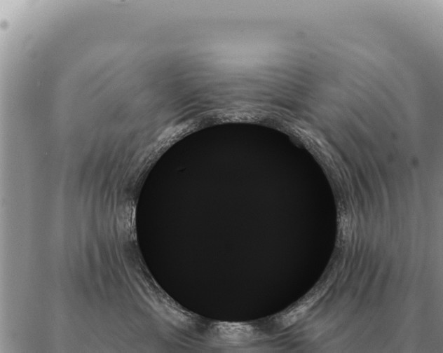 X0000088060429200705182145