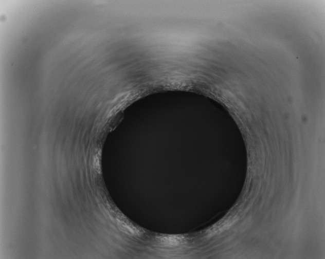X0000088060432200705182145
