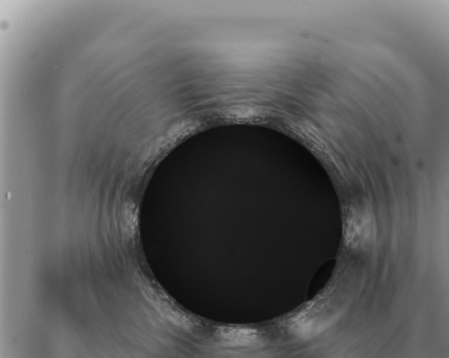 X0000088060476200705182145