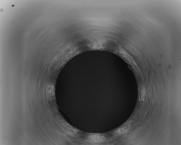 X0000088060521200705182144