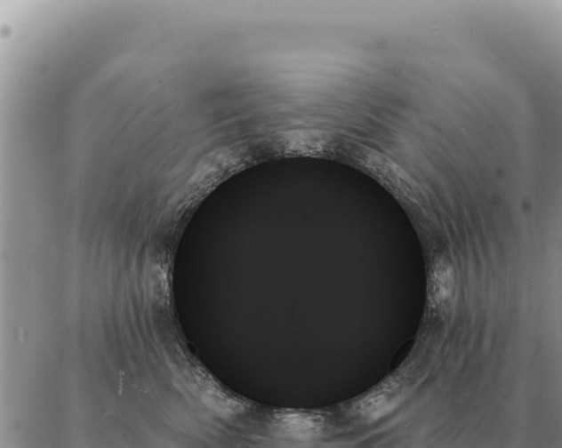 X0000088060522200705182144