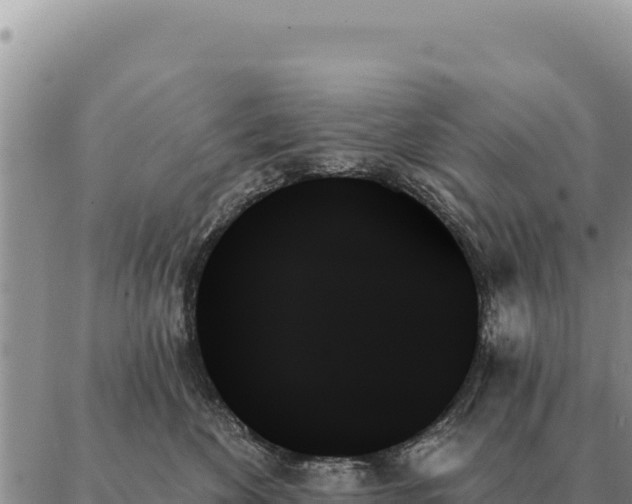 X0000088060524200705182144