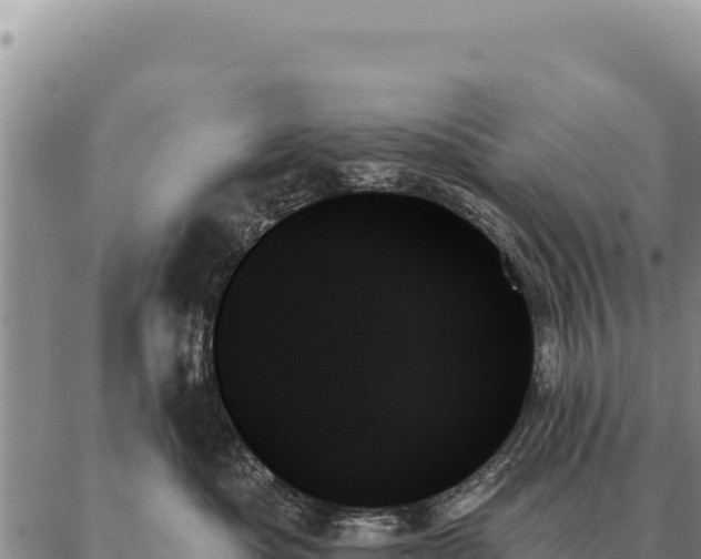 X0000088060525200705182144