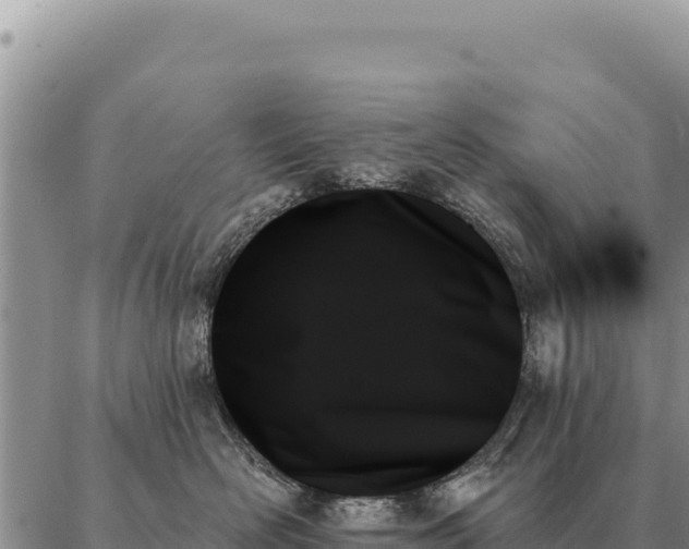 X0000088060526200705182144