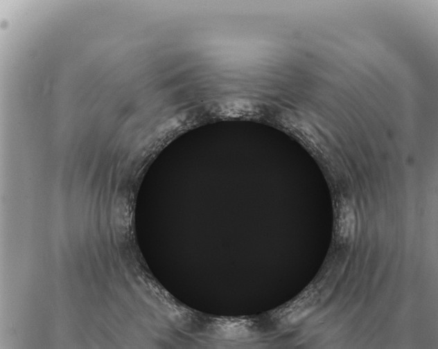 X0000088060569200705182143
