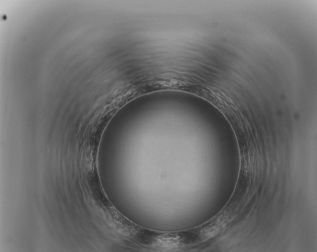 X0000088060606200705182142