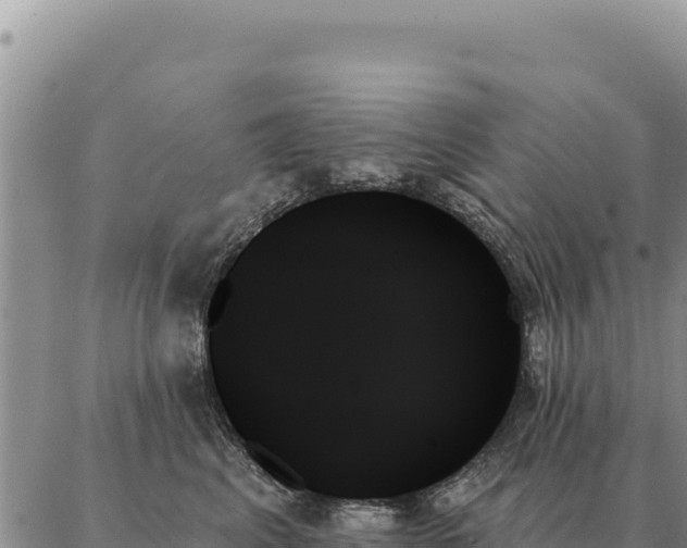 X0000088060617200705182142