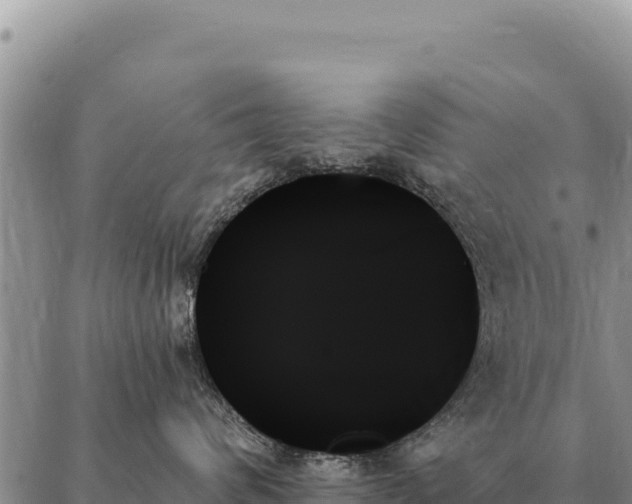 X0000088060624200705182142
