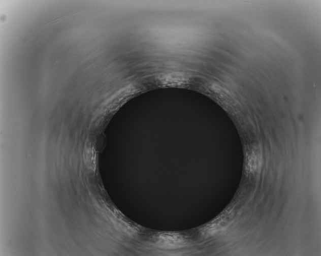 X0000088060666200705182142