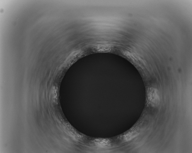 X0000088060667200705182142
