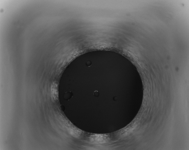 X0000088060672200705182142