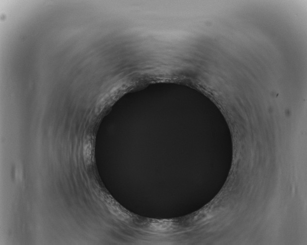 X0000088060720200705182140