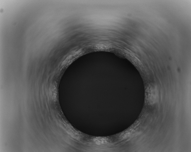 X0000088060762200705182140