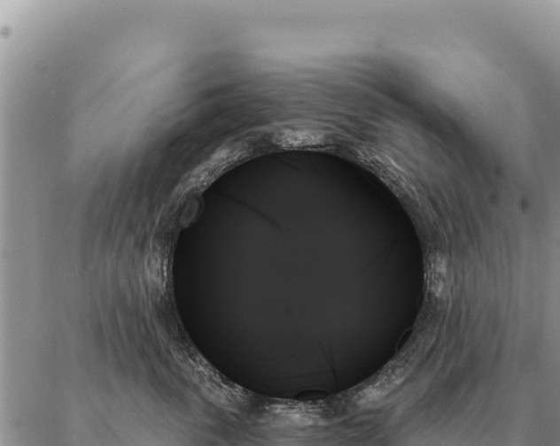 X0000088060763200705182140