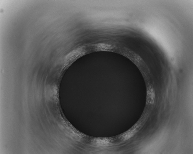 X0000088060765200705182140