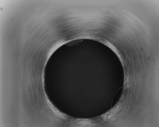X0000088060811200705182139