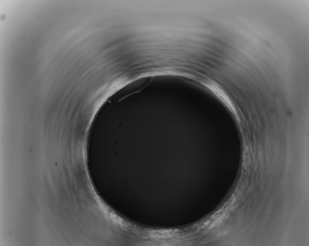 X0000088060813200705182139