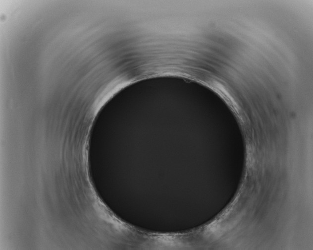 X0000088060814200705182139