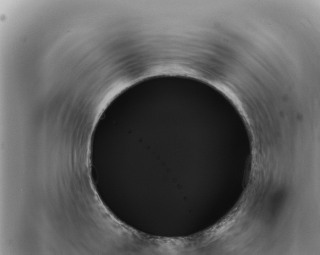 X0000088060815200705182139