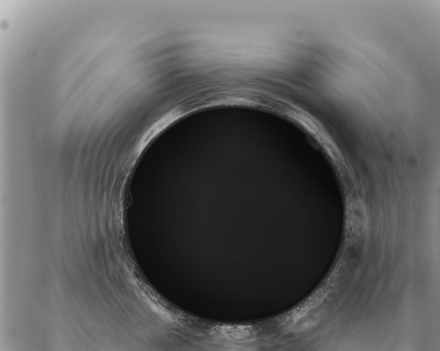 X0000088060858200705182139