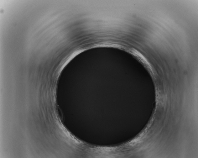 X0000088060860200705182139