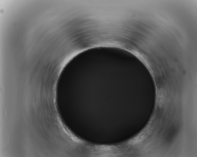 X0000088060862200705182139
