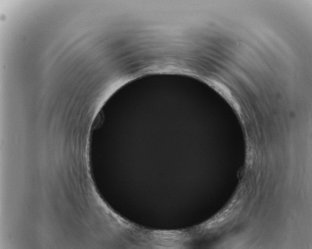 X0000088060863200705182139