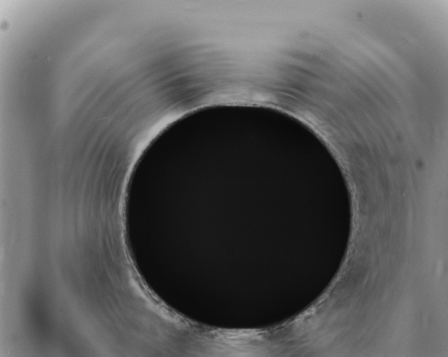 X0000088060864200705182139