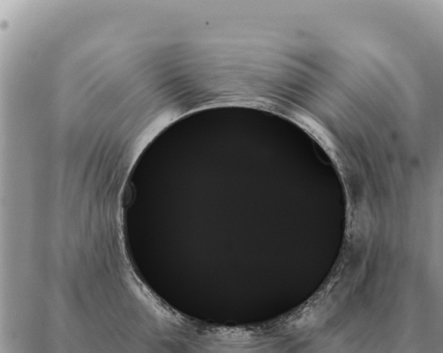 X0000088060907200705182137