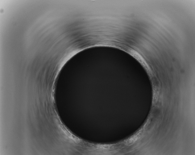 X0000088060908200705182137