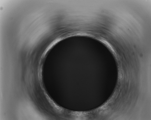 X0000088060910200705182137