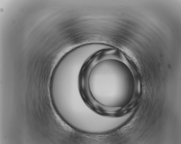 X0000088060942200705182137