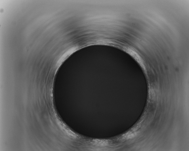 X0000088060954200705182137