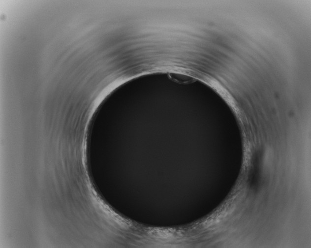 X0000088060955200705182137