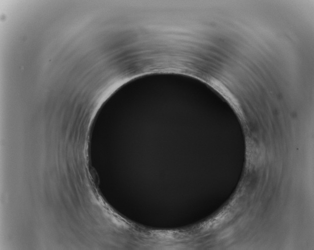X0000088060956200705182137