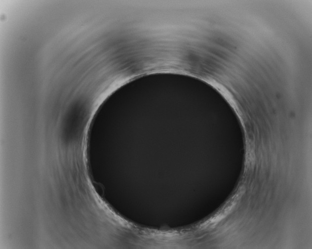 X0000088060957200705182137