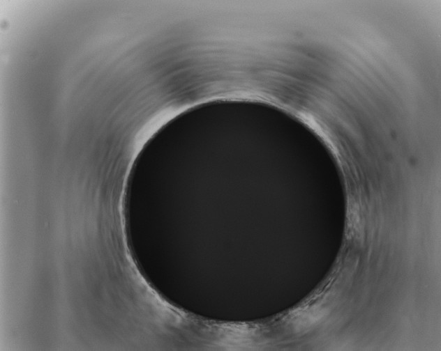 X0000088060959200705182137
