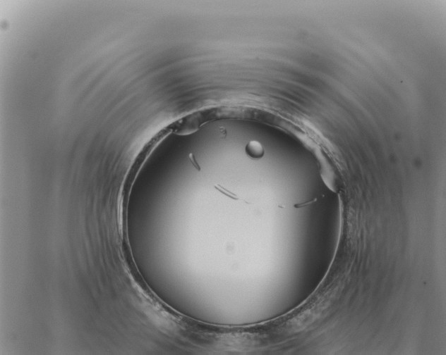 X0000088060988200705182136